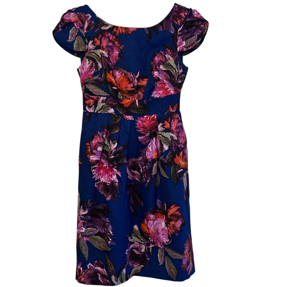 Anthropologie Moulinette Soeurs Rosado Blue Floral Fit & Flare Womens Size 00P - Picture 2 of 8
